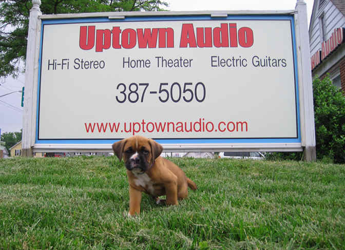 Uptown Joe boxer.jpg (201723 bytes)