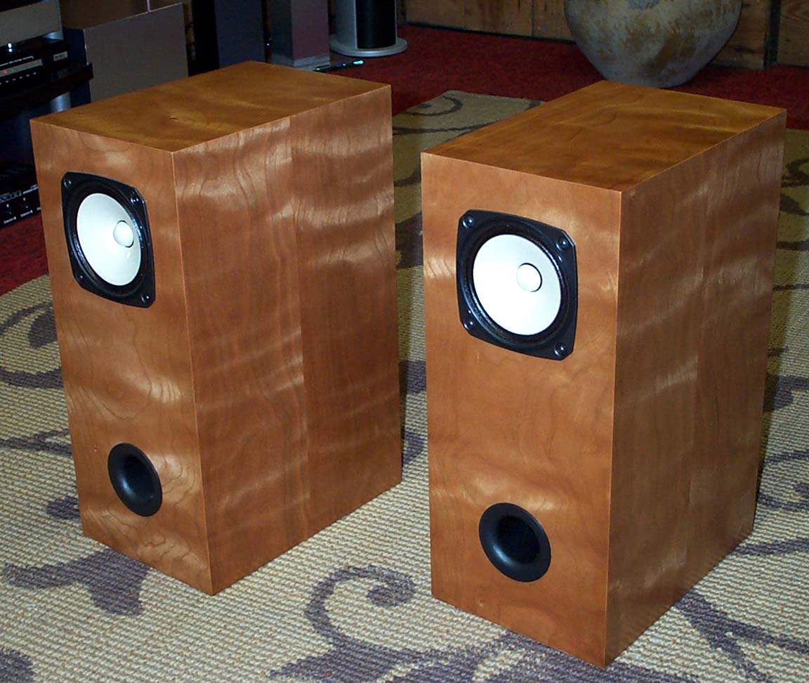 fostex 3 inch full range